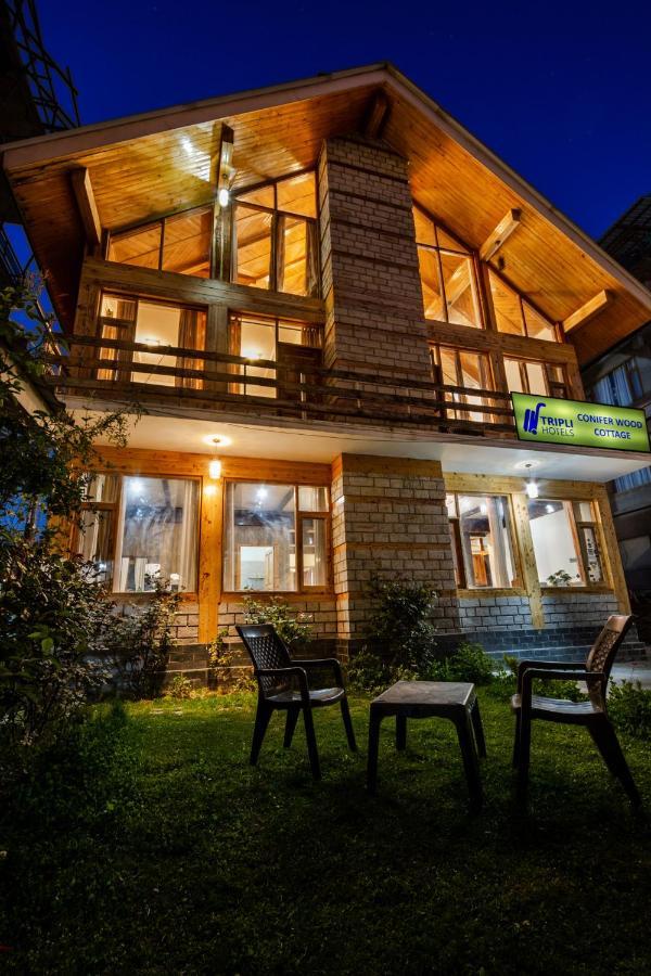 Hotel Tripli Conifer Wood